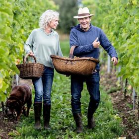 Et ældre par går gennem høje, grønne vinranker med en kurv hver på armen og en hund ved siden af.