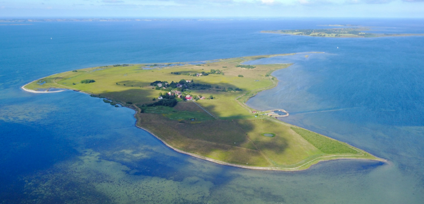Hjortø