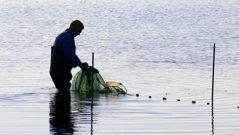 Fisker står i vandet med fiskeruse i hånden ved nogle pæle.