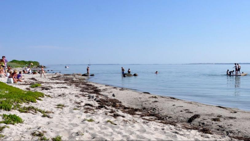 Mennesker hygger sig i vandet og nogen sidder i sandet på stranden og soler sig.