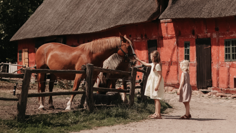 To piger iklædt lyse sommerkjoler står ved en indhegning, hvori der står en brun hest, som den ene klapper, med et rødt bindingsværk i baggrunden. 