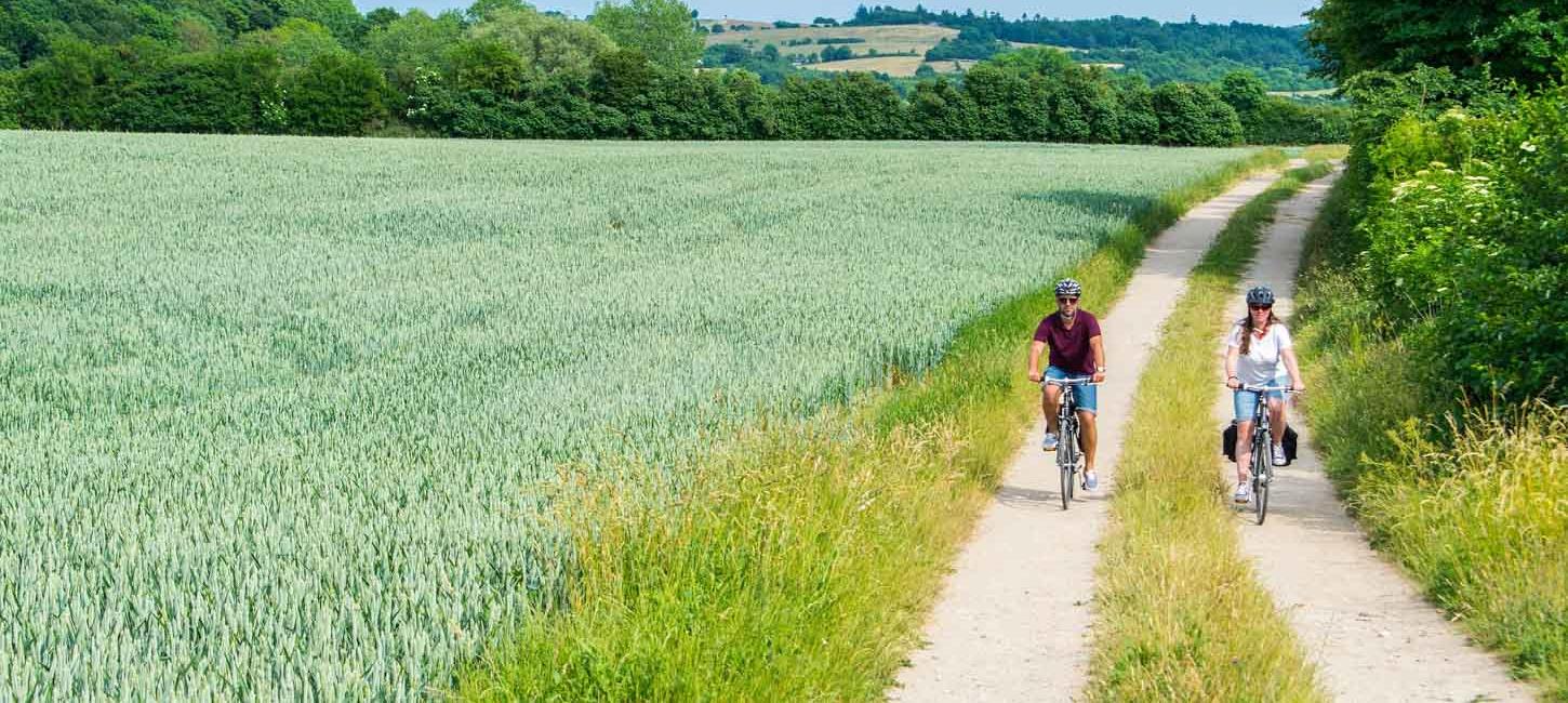 To cyklister cykler af sted i hver deres spor på markvej med grønt græs i midten. Marker og buske til alle sider, bakket landskab i baggrunden.