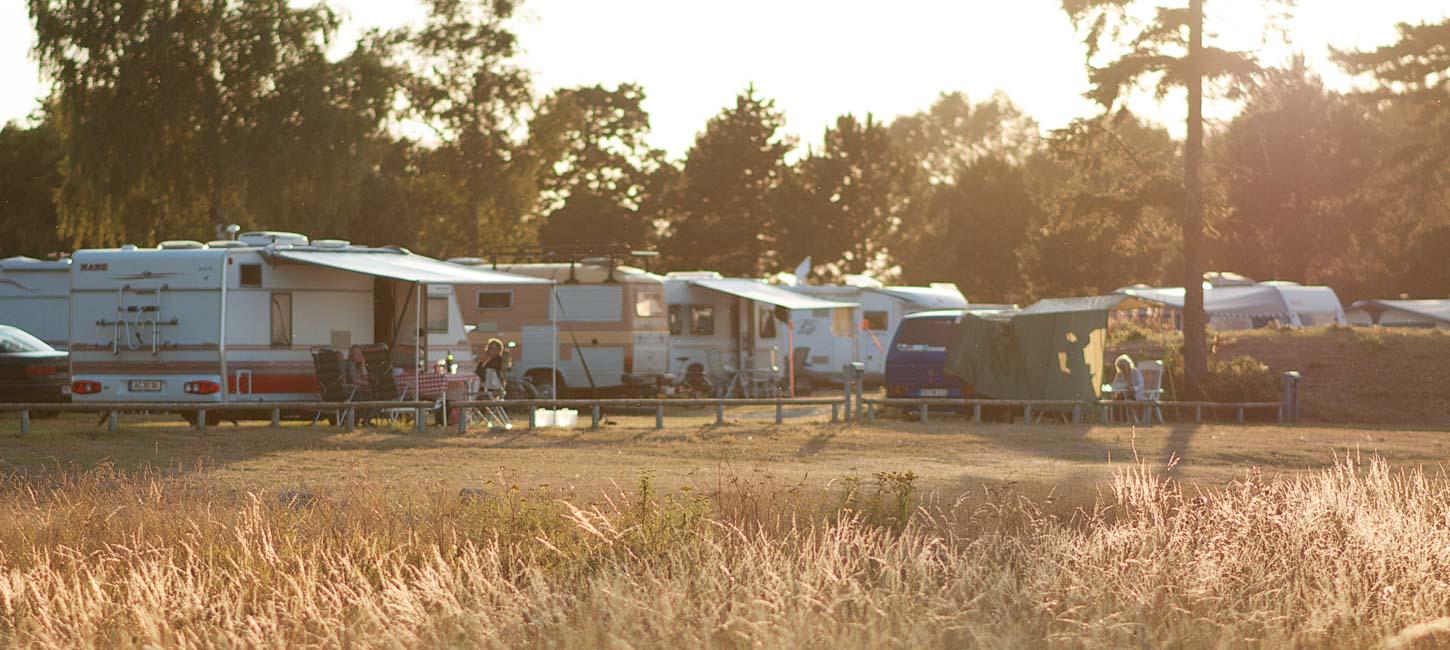 Campingvogne på stribe bag et lavt stakit. I forgrunden bølgende tørt græs.