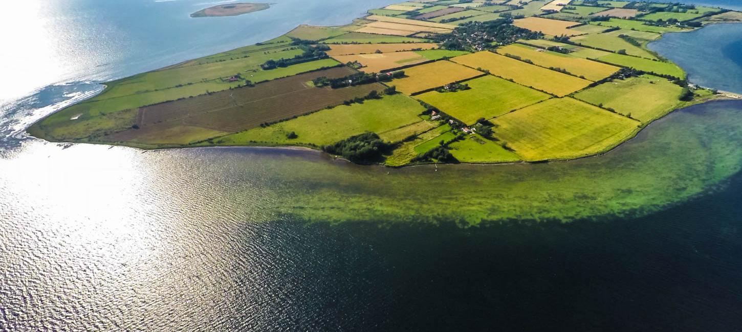 Strynø set fra oven i drone-shot med marker i forskellige grønne nuancer.