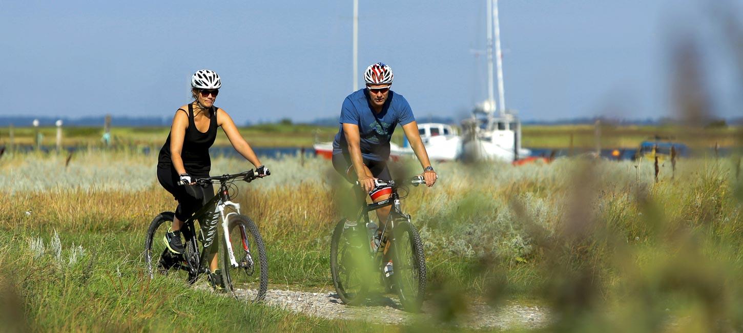 Cyklister på grusvej Svendborg-Faaborg 