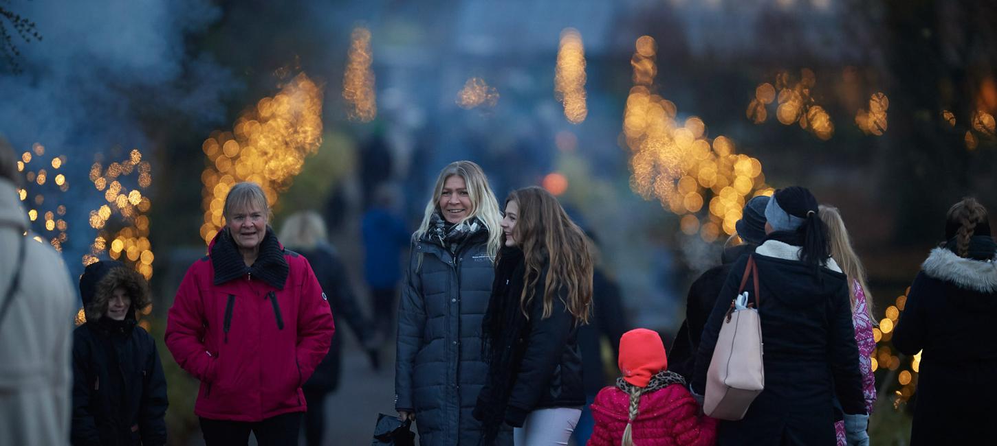 julemarked egeskov jul lys