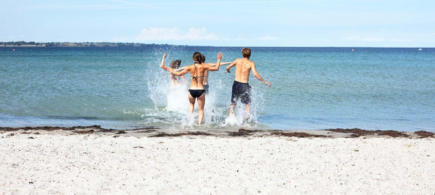 venner strand ærø vand sommer