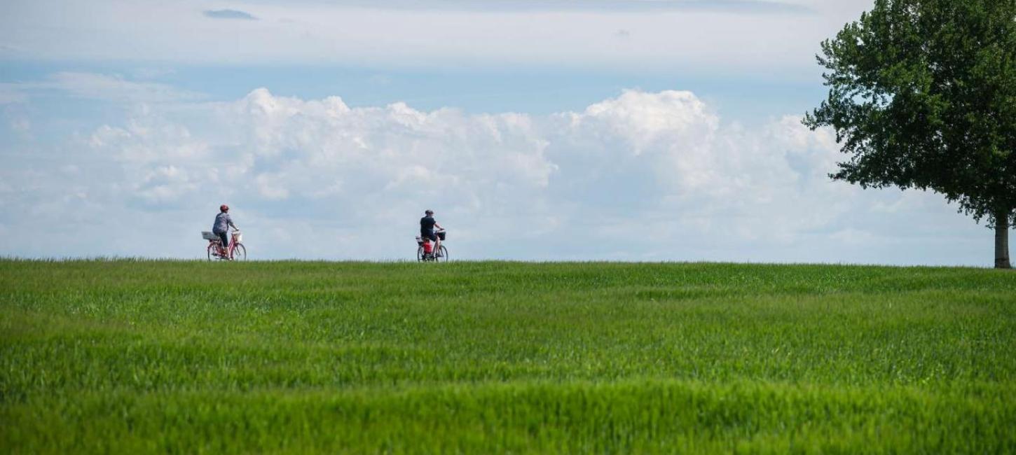 To cyklister ses cyklende langs en bølgende grøn græsmark under en blå himmel. Til højre i billedet et stort træ