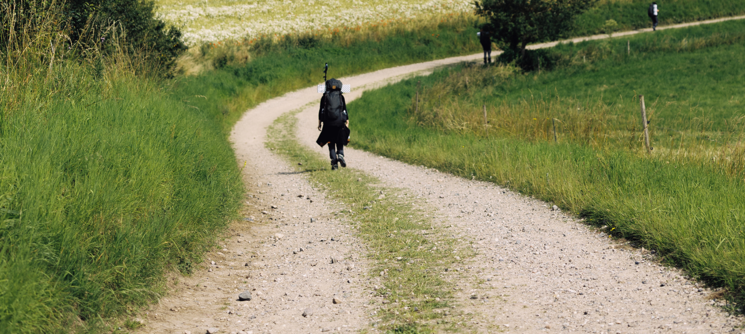 En vandrer går på Øhavsstien på en snoet grussti gennem grønt landskab
