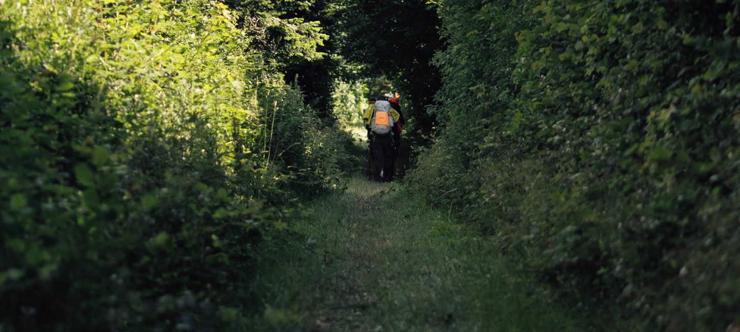 To vandrere med ryggen til og med oppakning på ryggen går igennem et hul i en skov