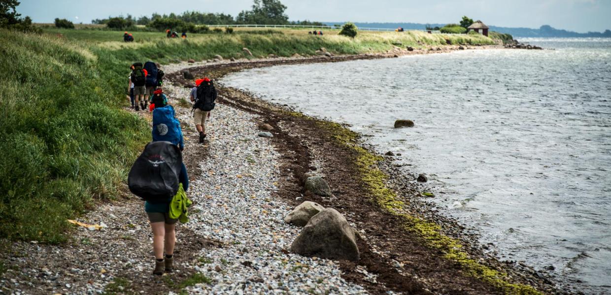 Fire vandrere med oppakning og sommertøj på en stenstrand ned til havet. 