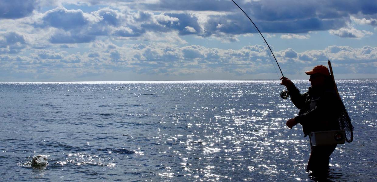 Sort silhuet af sportsfisker, der står med siden til og fiske i dybblåt vand op mod en blå himmel med blå skyer. Han har bid.