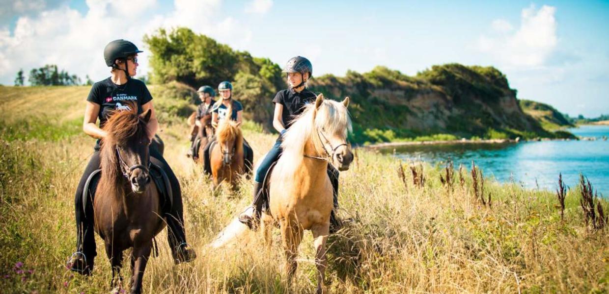 Fire piger på hver sin hest kommer ridende en solskinsdag på en mark ud til vandet.