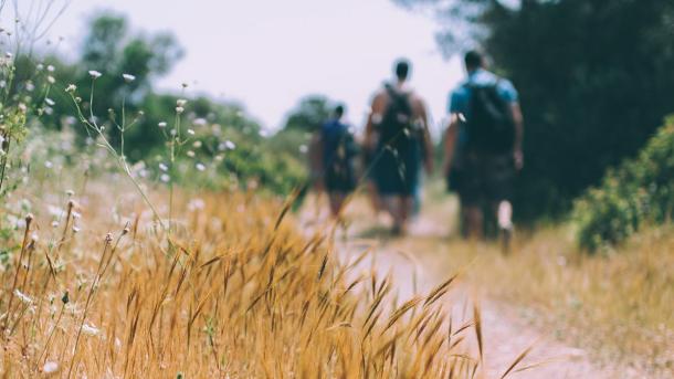 vandring sommer forår natur vandretur vandreferie