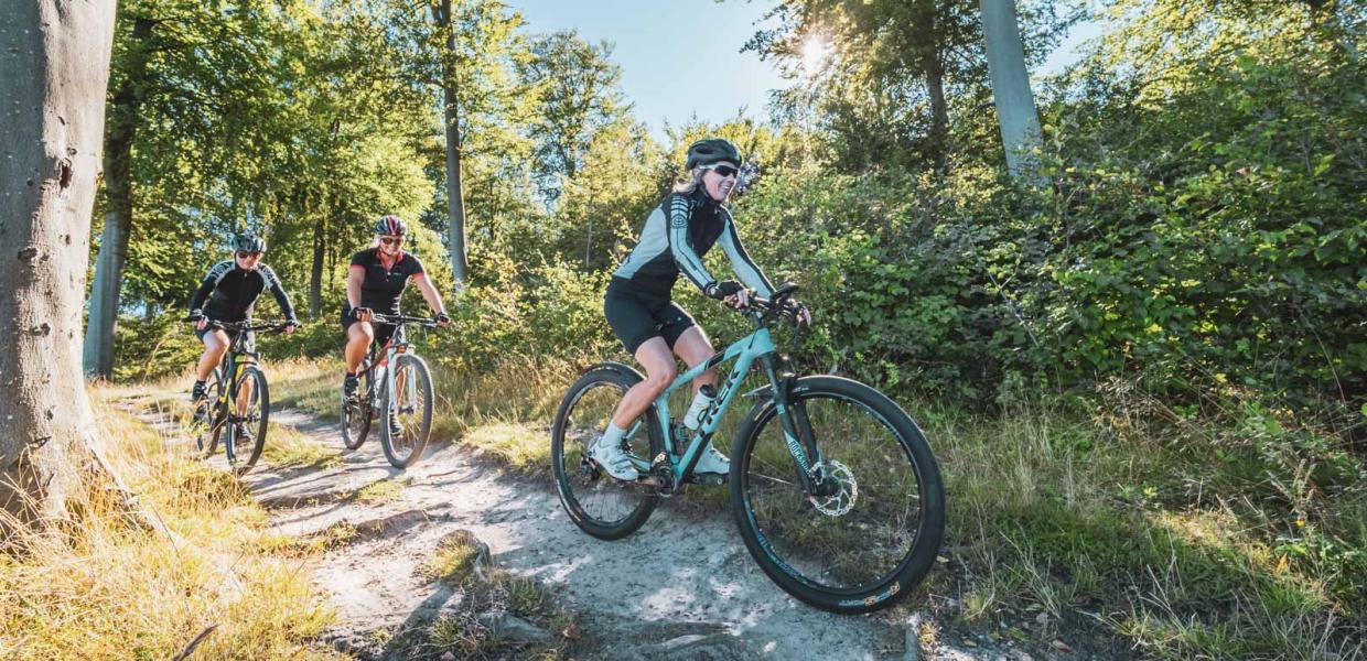 Tre personer på MTB i skov