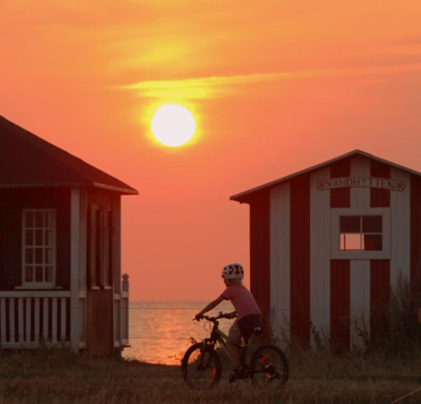 Far og barn cykler på Ærø