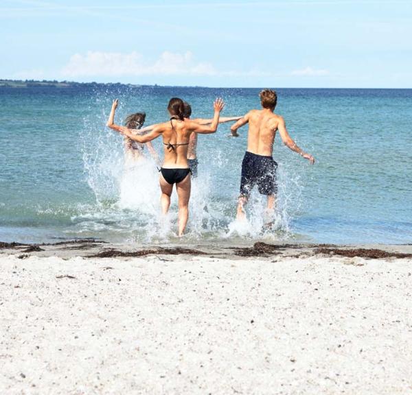 venner strand ærø vand sommer 