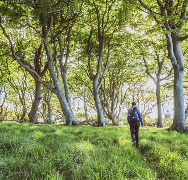 vandring vandreferie æbelø fyn ø øhav hav natur