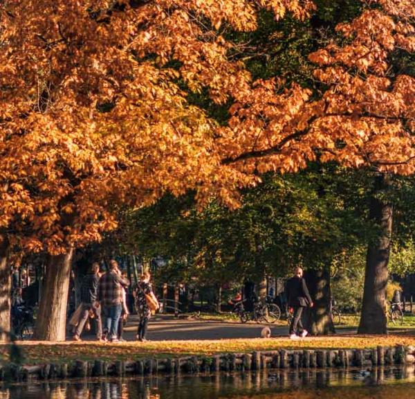 Træer i smukke farver hænger ud over vandet ved Munke Mose i Odense. Mennesker går på stien.