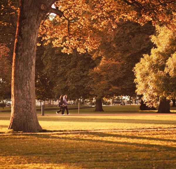 Efterårsfarver på træerne og lange skygger i Kongens Have i Odense.