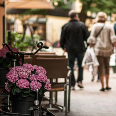 Hyggelig gågade med mennesker og lyserøde blomster i forgrunden.