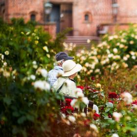 En ældre kvinde med lys sommerhat og en ældre mand med mørk kasket sidder omgiver af blomstrende roser og blomster til alle sider.