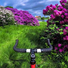 Et kig henover cykelstyret viser grønt græs, blomstrende hvide og violette rododendron og en slot på den anden side af en sø i baggrunden.