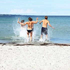 venner strand ærø vand sommer 