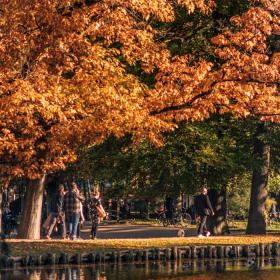 efterår odense natur by ferie munke mose