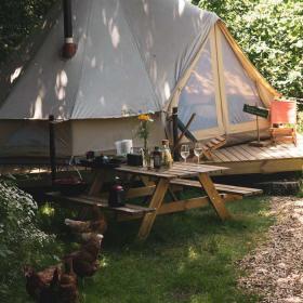 tiki camp langeland natur glamping camping telt bål høns