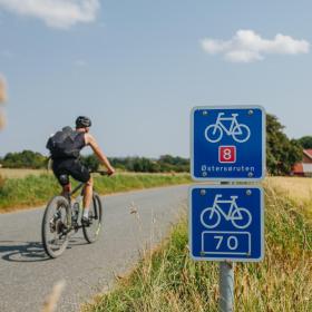 Blåt skilt med hvid cykel og et 8-tal på. Markeringen af Østersøruten. I baggrunder en cyklist og gule marker.