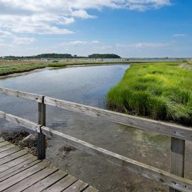 Thorøhuse Assens Natur 