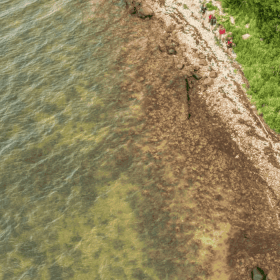 Et luftfoto af fire vandrere med oppakning, der går på en strand med havet til den ene side og grøn skov til den anden